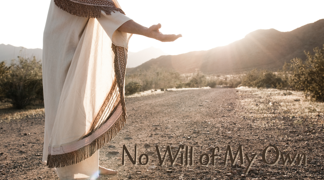 I Have No Will of My Own