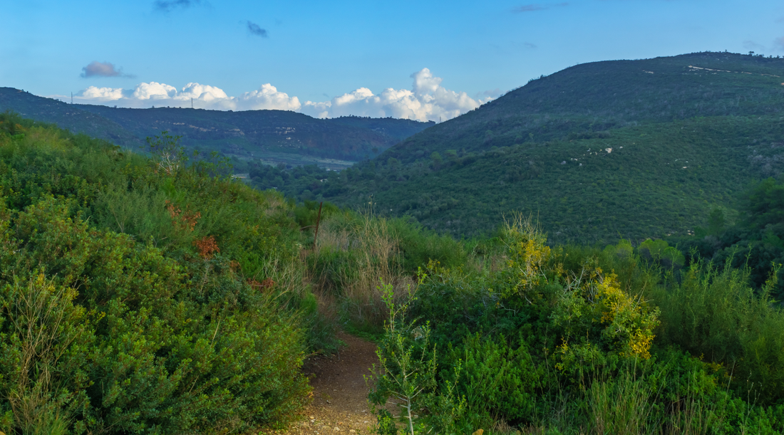 Trials & Tribulation