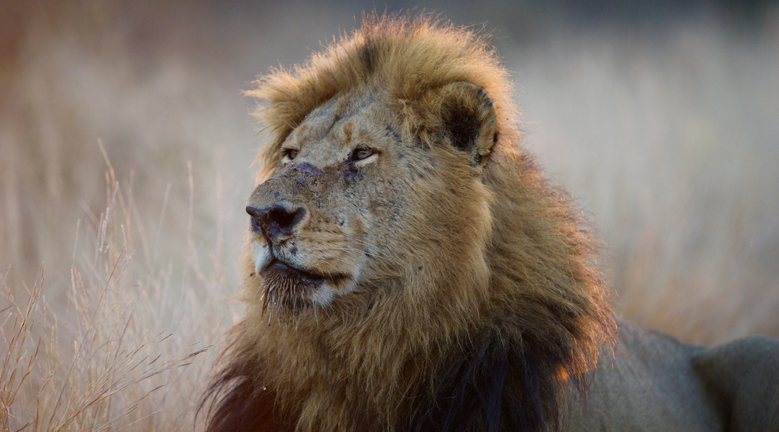 Ali Holland featured in People Magazine